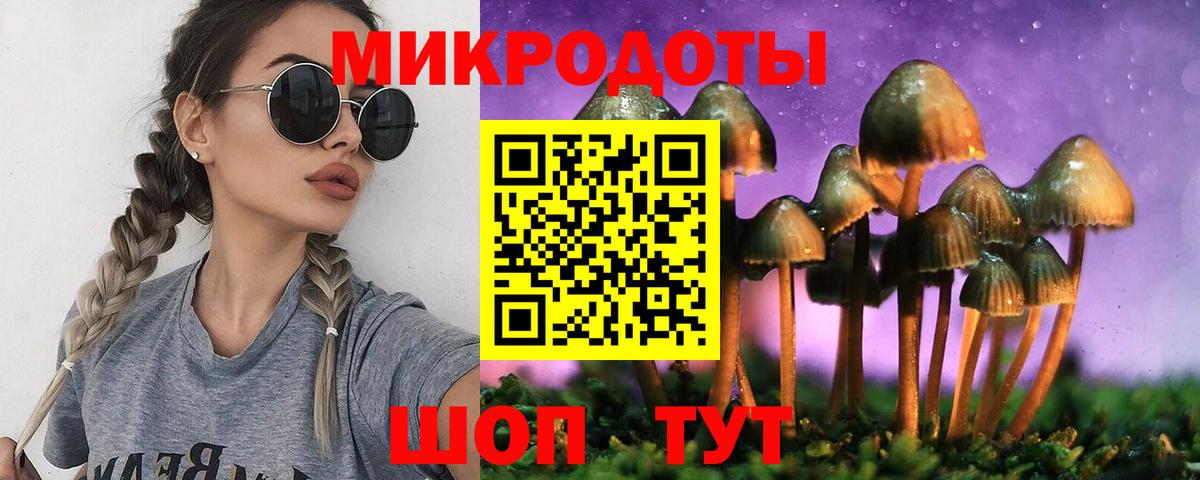 Псилоцибиновые грибы мицелий Рубцовск
